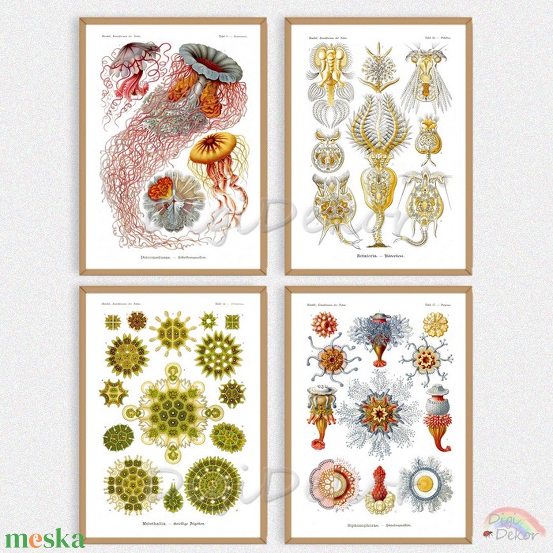 Vintage illusztráció, falikép konyhába, nappaliba, tengeri élőlények, tudományos poszter, medúza, természet, óceán, víz - művészet - grafika & illusztráció - művészi nyomat - Meska.hu Vintage illusztráció, falikép konyhába, nappaliba, tengeri élőlények, tudományos poszter, medúza, természet, óceán, víz - művészet - grafika & illusztráció - művészi nyomat - Meska.hu