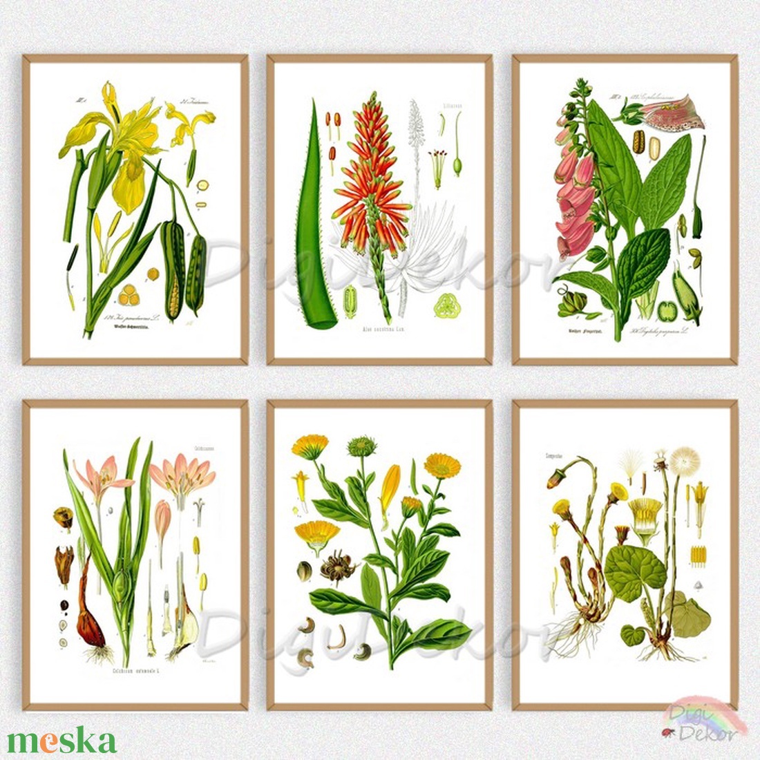 1 db Növényes falikép, botanikai illusztráció: Aloe vera, körömvirág, nőszirom. Táblakép étkezőbe, konyhába, nappaliba. - otthon & életmód - dekoráció - kép & falikép - táblakép - Meska.hu 1 db Növényes falikép, botanikai illusztráció: Aloe vera, körömvirág, nőszirom. Táblakép étkezőbe, konyhába, nappaliba. - otthon & életmód - dekoráció - kép & falikép - táblakép - Meska.hu