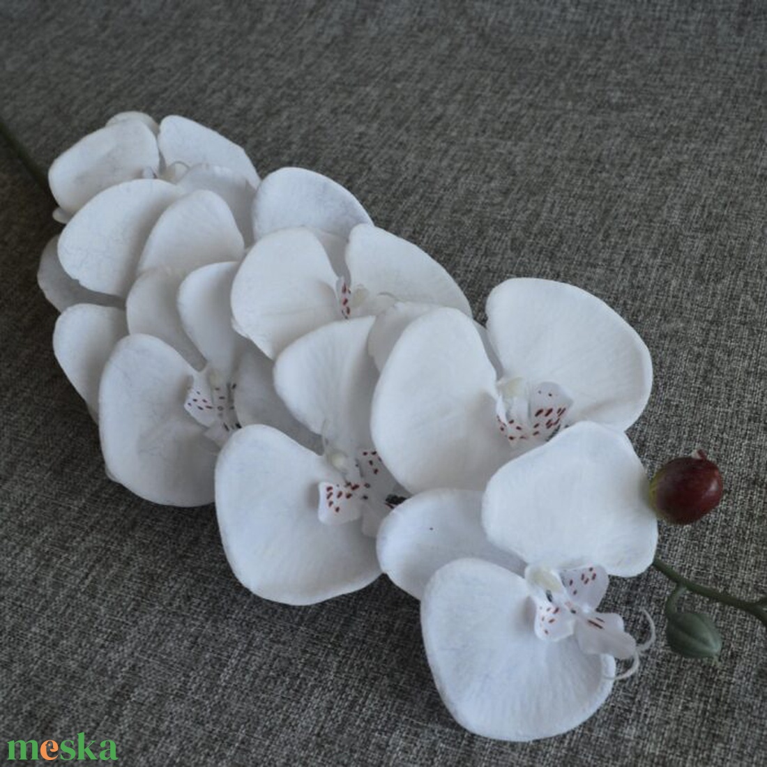 Fehér orchidea piros pöttyel - otthon & életmód - dekoráció - virágdekoráció - virágok - szálas virág - Meska.hu