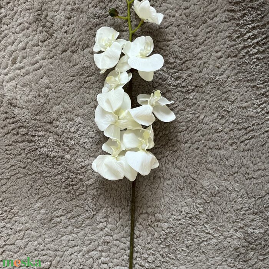 Krémfehér orchidea - otthon & életmód - dekoráció - virágdekoráció - virágok - szálas virág - Meska.hu