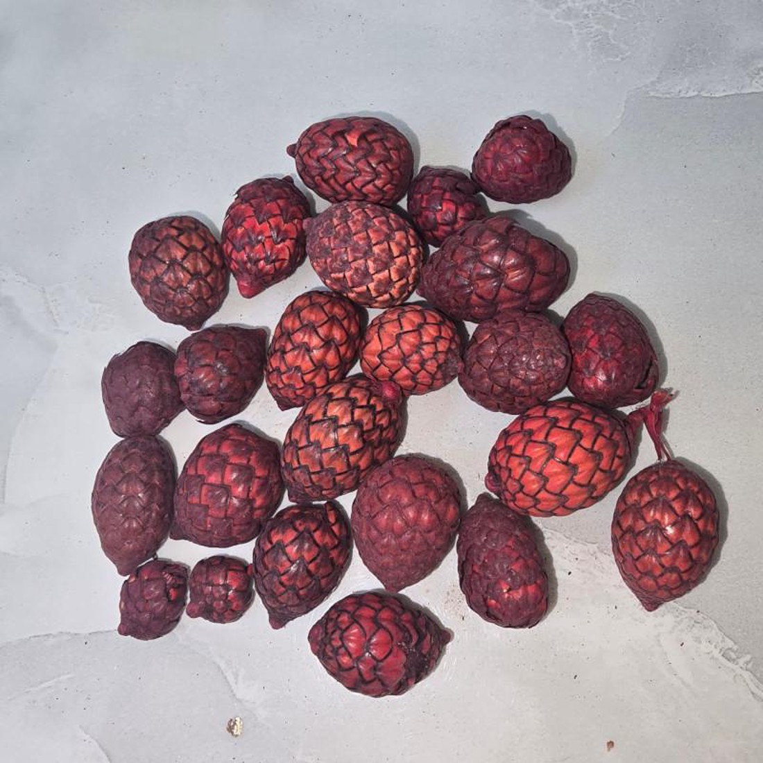 KisÖprŐ akciÓ! cane fruit - bordó 5 dkg - kellékek & szerszámok - dekorációs kellékek - termések, terméscsomagok - Meska.hu