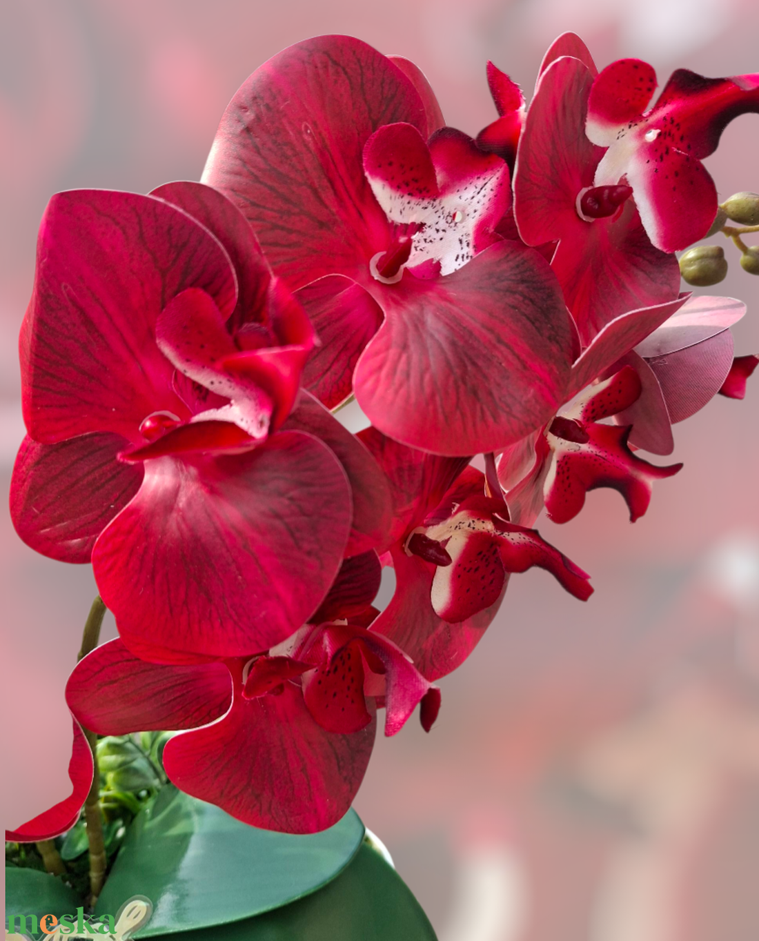 Piros orchidea kaspóban - otthon & életmód - dekoráció - virágdísz és tartó - csokor & virágdísz - Meska.hu Piros orchidea kaspóban - otthon & életmód - dekoráció - virágdísz és tartó - csokor & virágdísz - Meska.hu