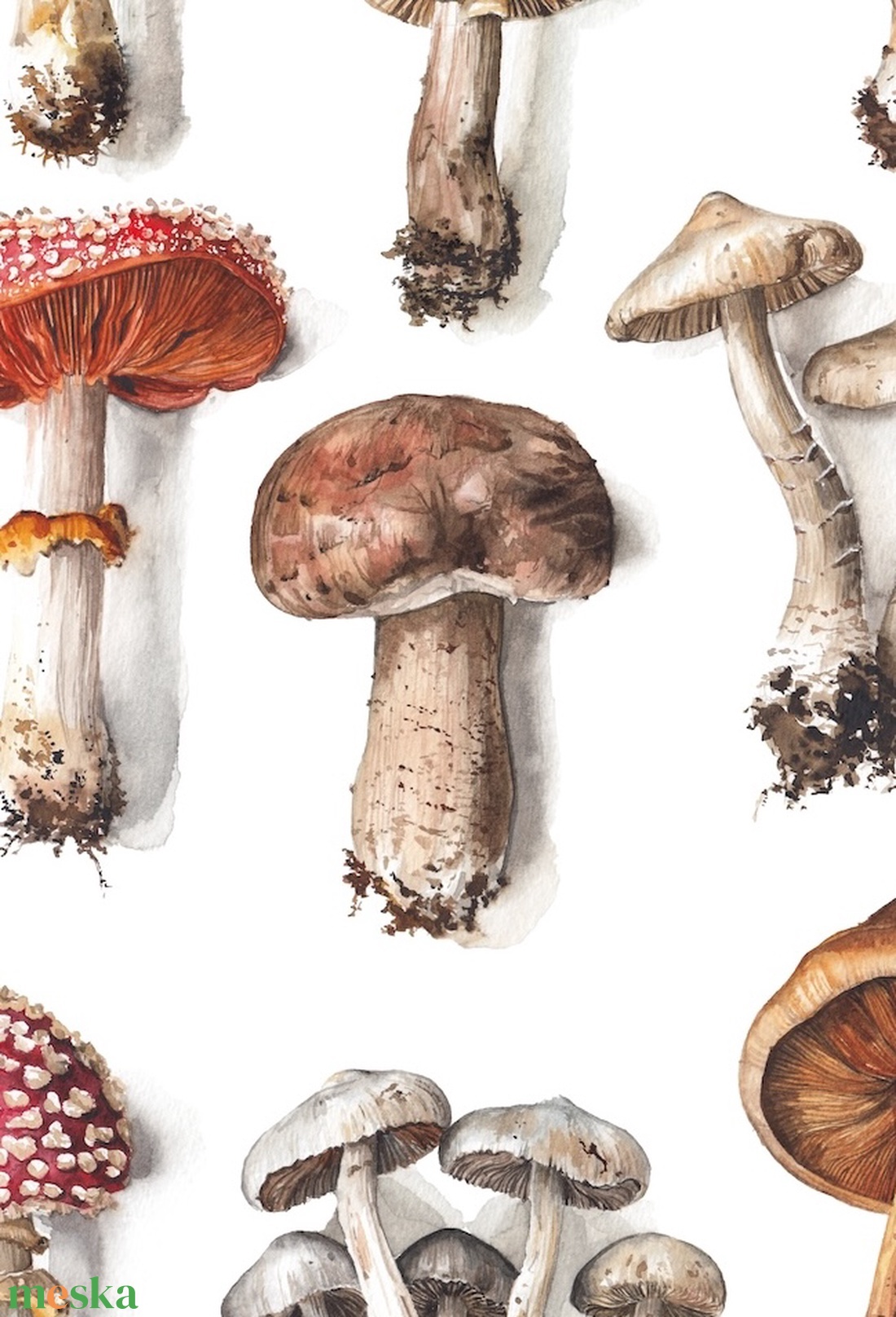 Gomba Válogatás  - Limitált kiadású nyomat - művészet - grafika & illusztráció - művészi nyomat - Meska.hu