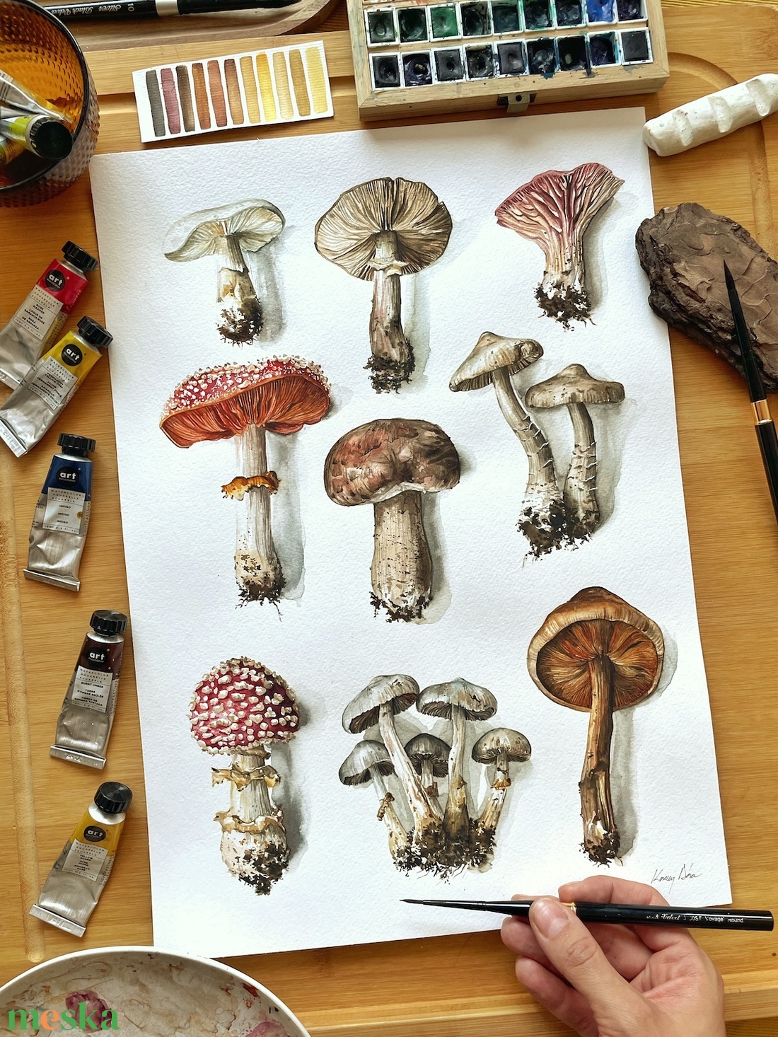 Gomba Válogatás  - Limitált kiadású nyomat - művészet - grafika & illusztráció - művészi nyomat - Meska.hu