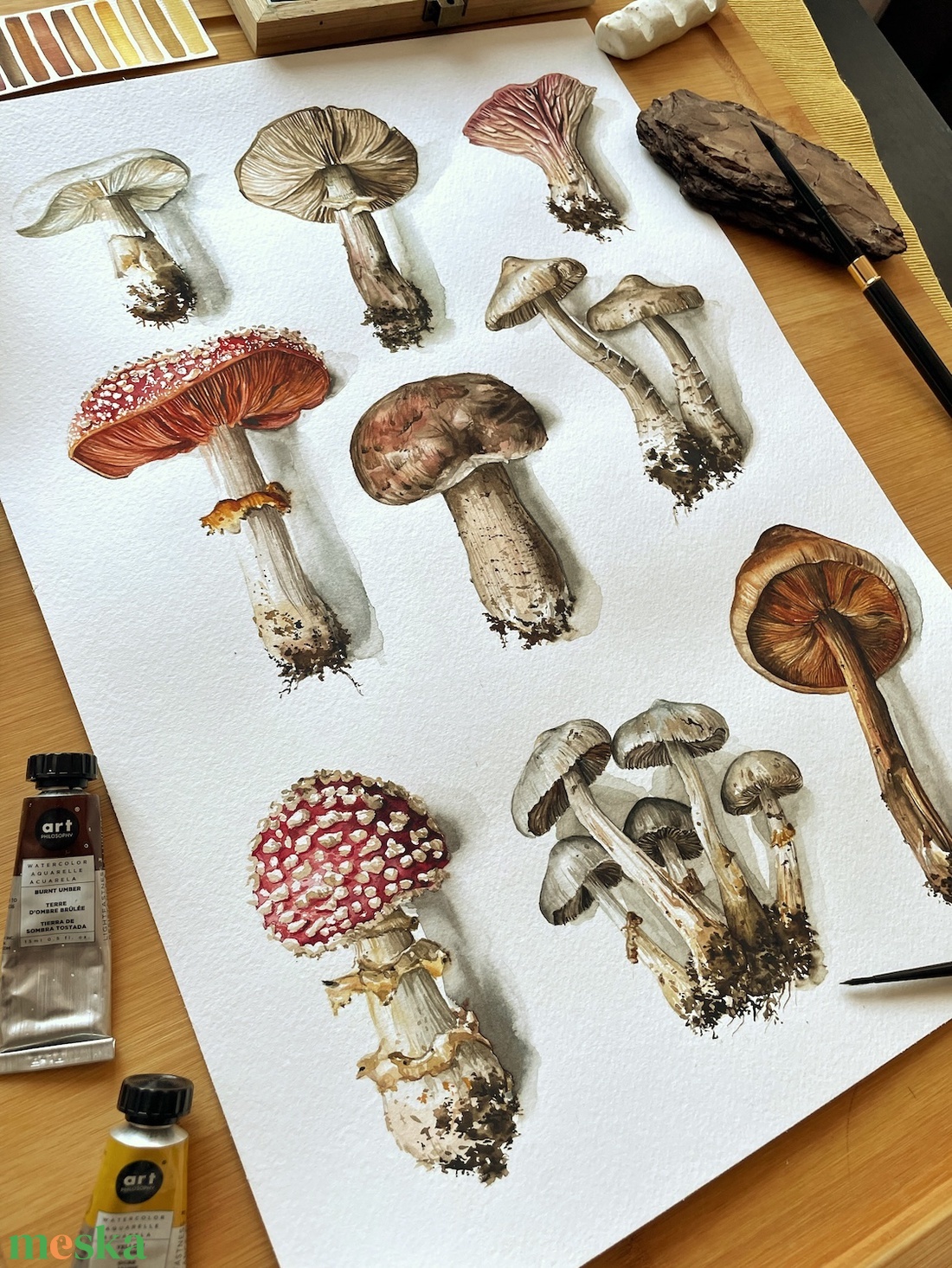 Gomba Válogatás  - Limitált kiadású nyomat - művészet - grafika & illusztráció - művészi nyomat - Meska.hu