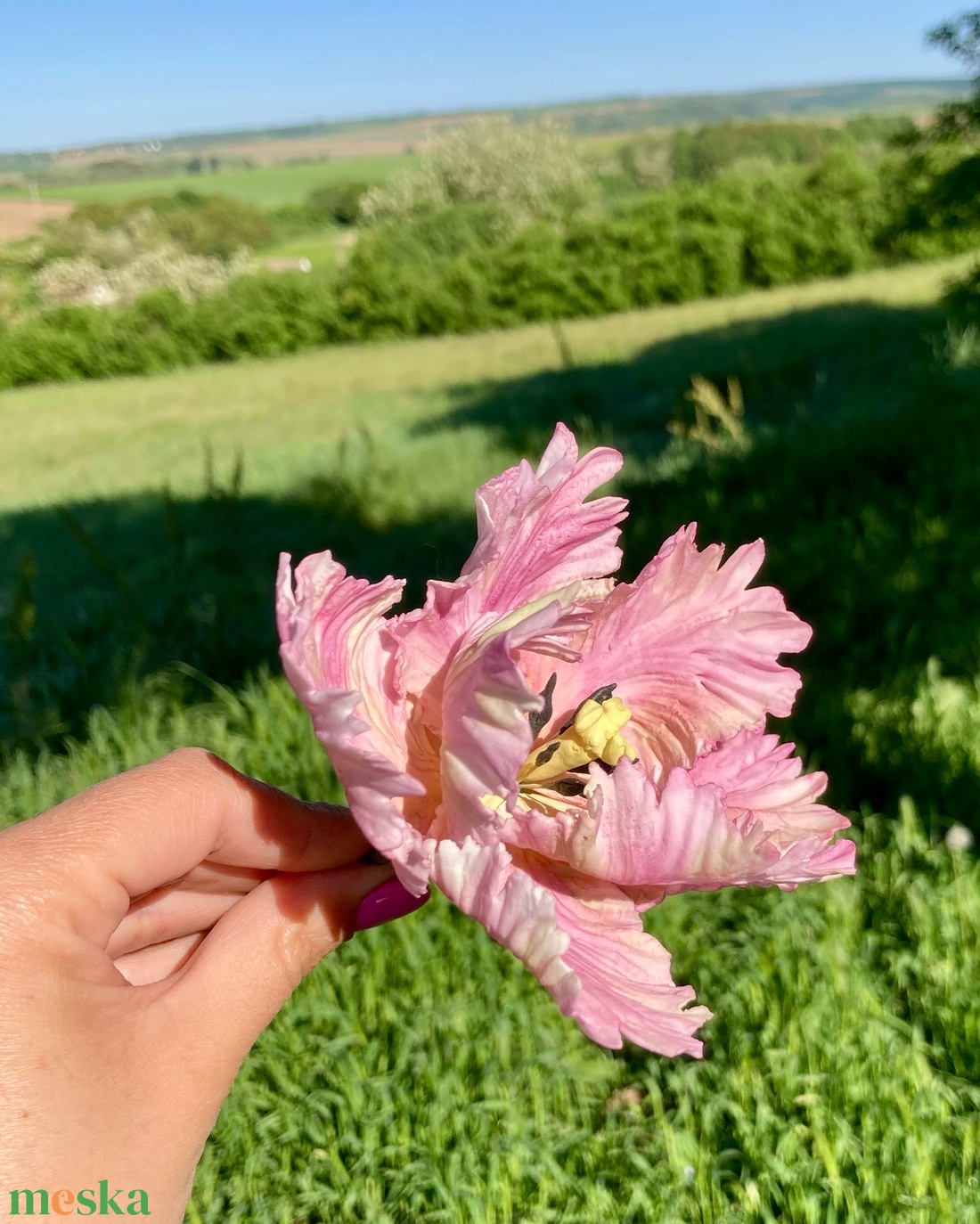 Papagáj tulipán tortadísz - otthon & életmód - konyhafelszerelés, tálalás - sütés, főzés - sütidísz - Meska.hu Papagáj tulipán tortadísz - otthon & életmód - konyhafelszerelés, tálalás - sütés, főzés - sütidísz - Meska.hu