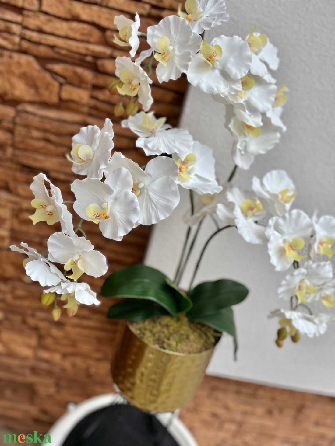 Real touch EXTRA prémium orchidea magasított kaspóban - otthon & életmód - dekoráció - virágdísz és tartó - csokor & virágdísz - Meska.hu Real touch EXTRA prémium orchidea magasított kaspóban - otthon & életmód - dekoráció - virágdísz és tartó - csokor & virágdísz - Meska.hu