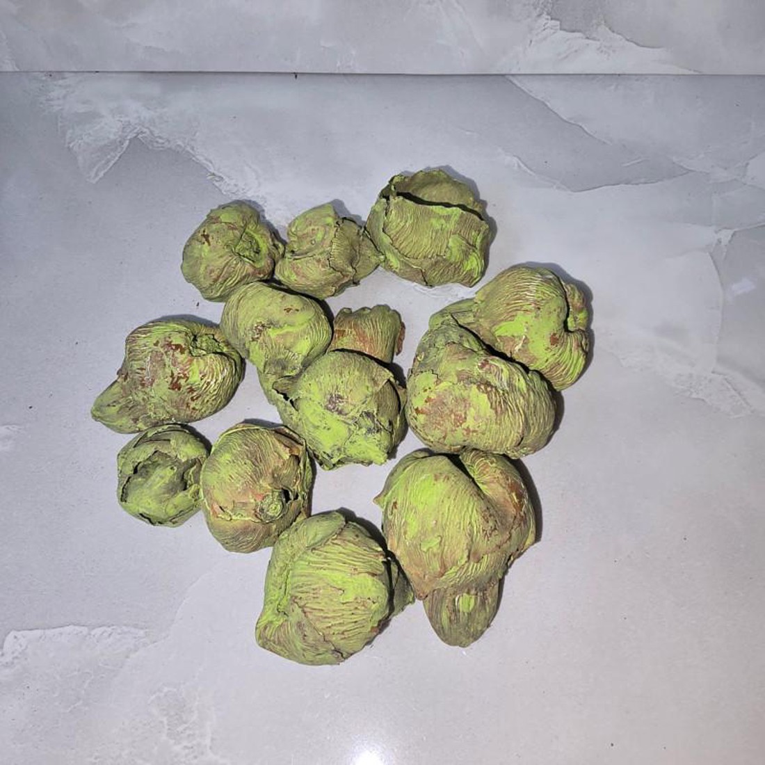 KiÖprŐ akciÓ! kókusz mini - falfestékes olíva 5 dkg - kellékek & szerszámok - dekorációs kellékek - termések, terméscsomagok - Meska.hu