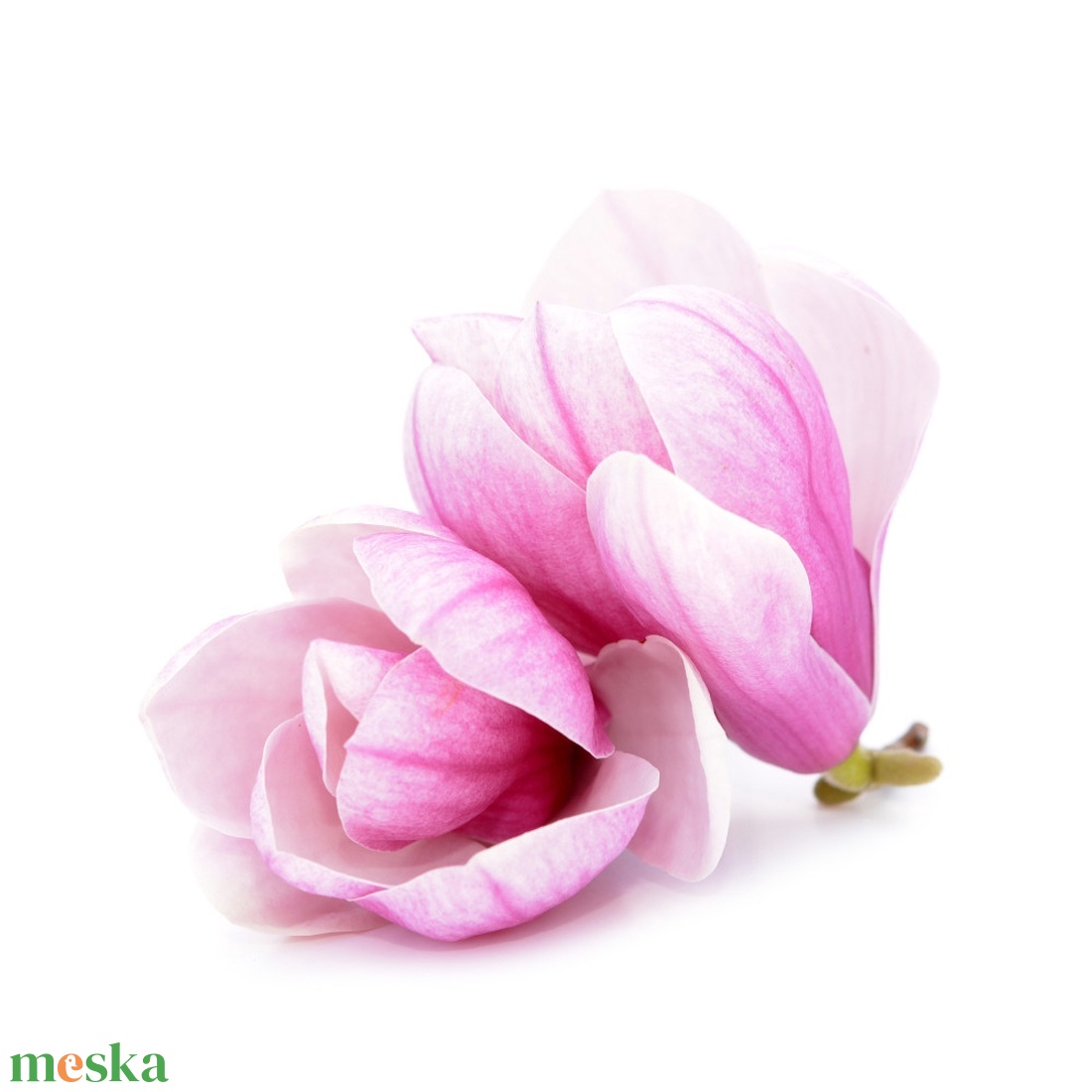 Magnolia illatolaj 10gr - kellékek & szerszámok - vegyes alapanyag - gyertya alapanyag - Meska.hu