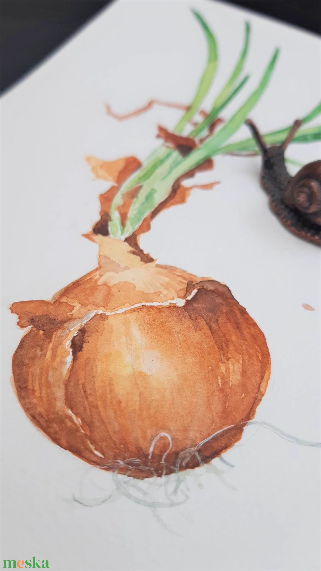 Botanikus akvarellkép vöröshagyma - művészet - festmény - akvarell - Meska.hu