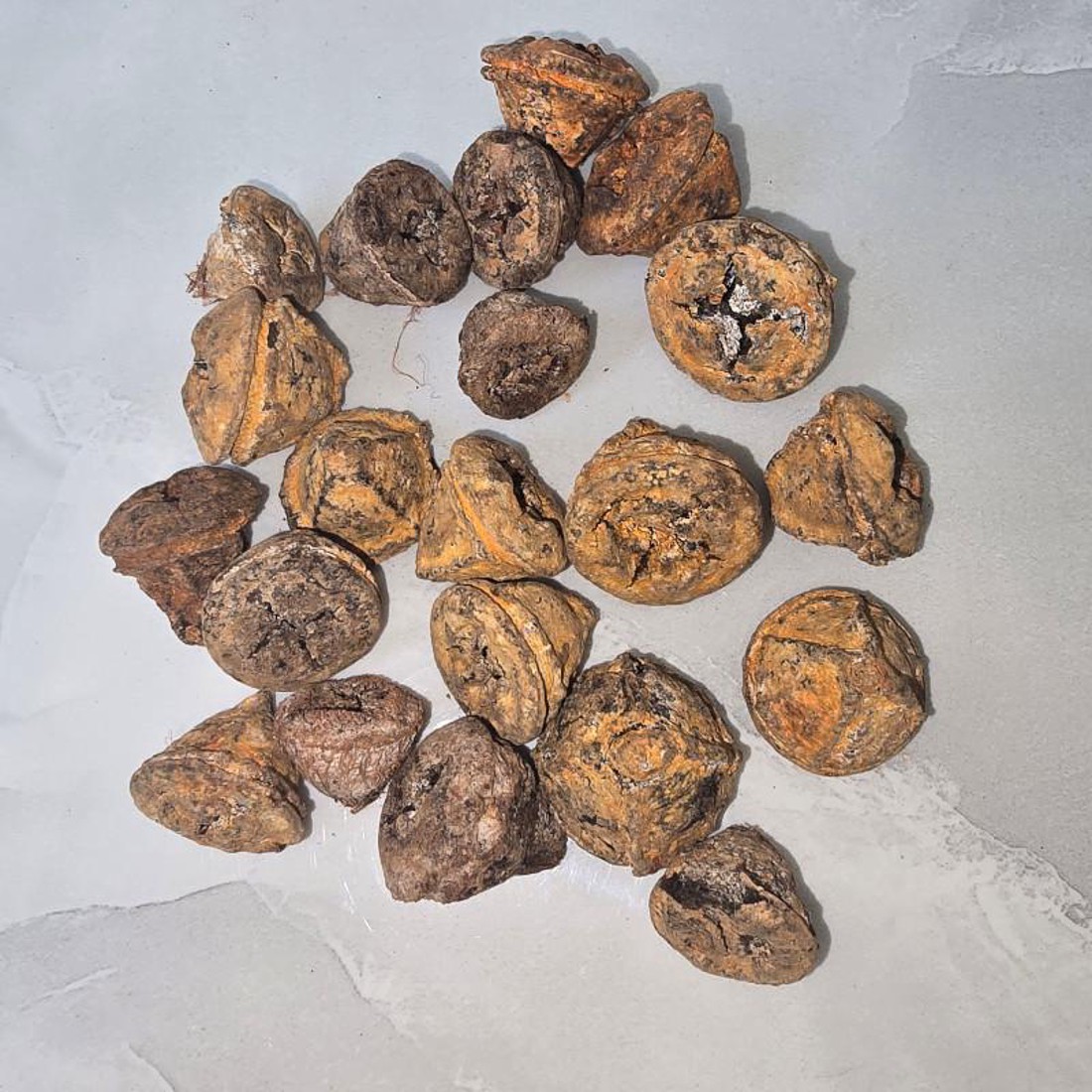 KisÖprŐ akciÓ! eukalyptus gomb - falfestékes rozsda 5 dkg -  - Meska.hu