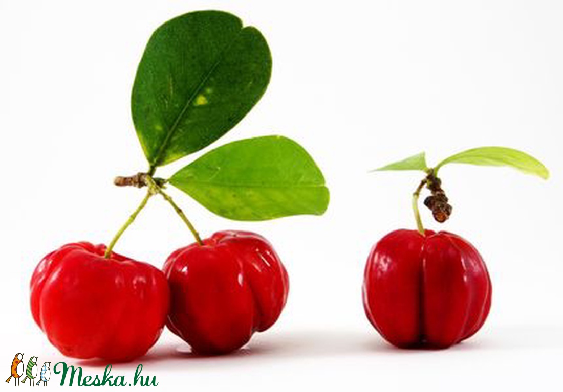 ZÖLDKÁVÉ - ACEROLA FESZESÍTŐ SZÉRUM HYALURONNAL ÉS KOFFEINNEL -  - Meska.hu