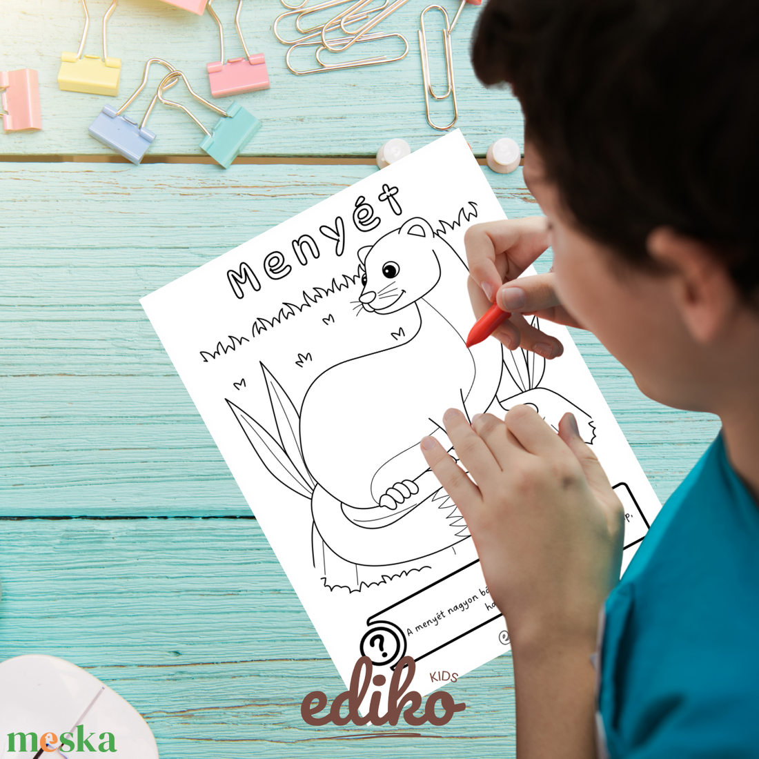 Erdei Állatok Tanító Színező (nyomtatható / digitális PDF)  - otthon & életmód - papír, írószer - színező - Meska.hu