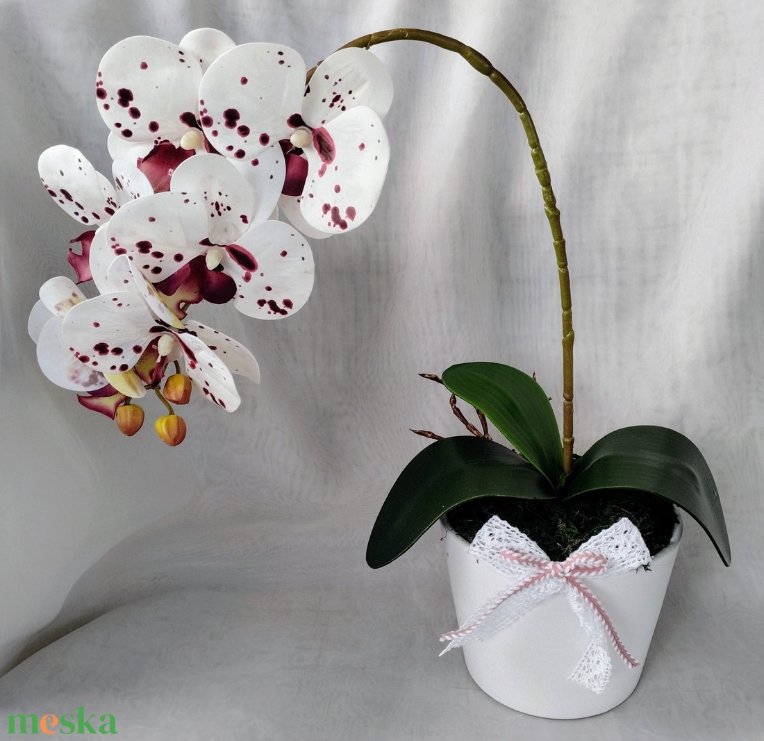 Örök orchidea kerámia kaspóban - otthon & életmód - dekoráció - asztal és polc dekoráció - asztaldísz - Meska.hu Örök orchidea kerámia kaspóban - otthon & életmód - dekoráció - asztal és polc dekoráció - asztaldísz - Meska.hu