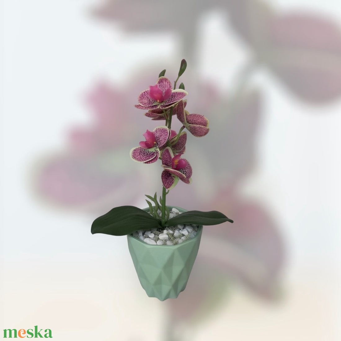 Orchidea kaspóban - otthon & életmód - dekoráció - virágdísz és tartó - csokor & virágdísz - Meska.hu Orchidea kaspóban - otthon & életmód - dekoráció - virágdísz és tartó - csokor & virágdísz - Meska.hu