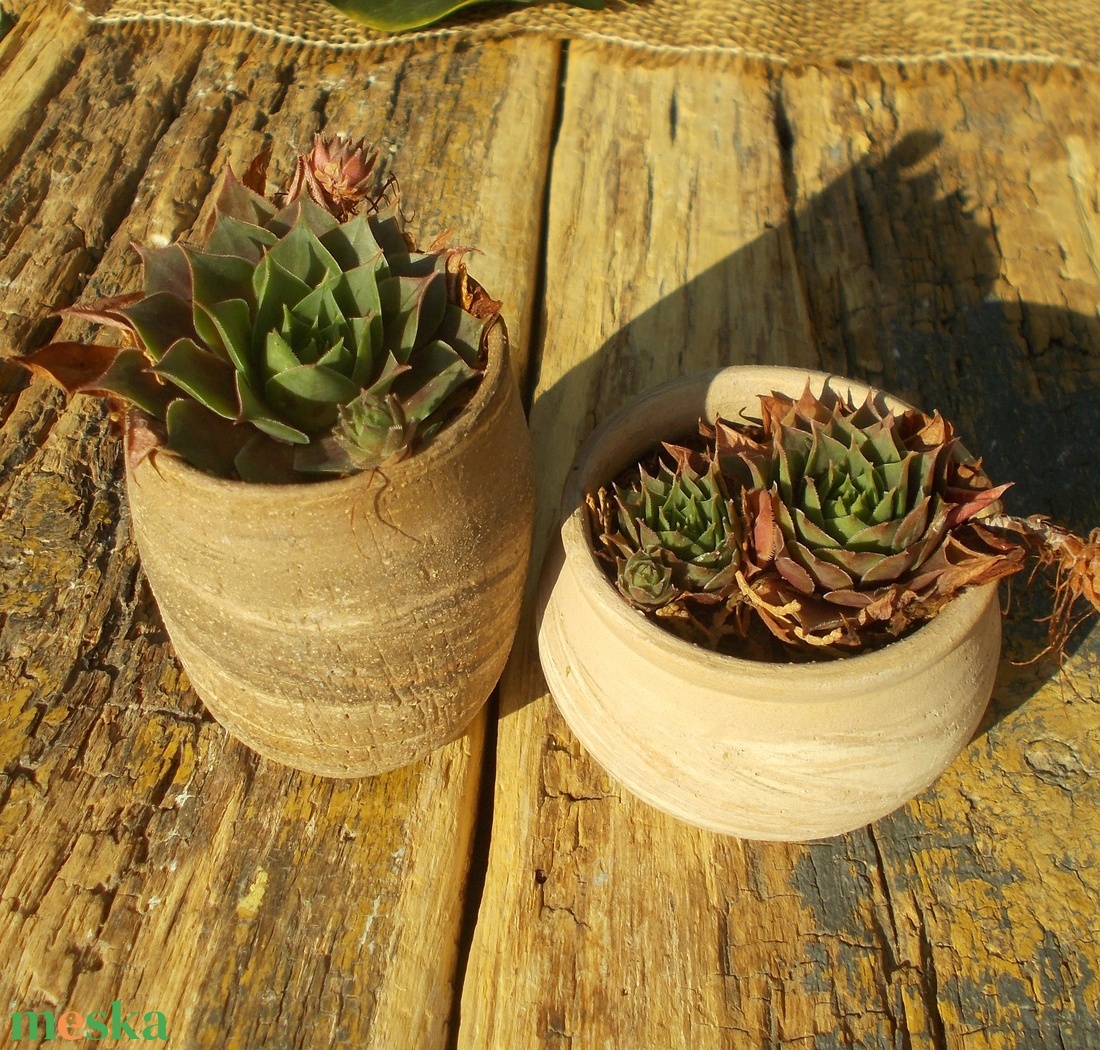 Terrakotta kaspók - otthon & életmód - ház & kert - növény & veteményes - Meska.hu