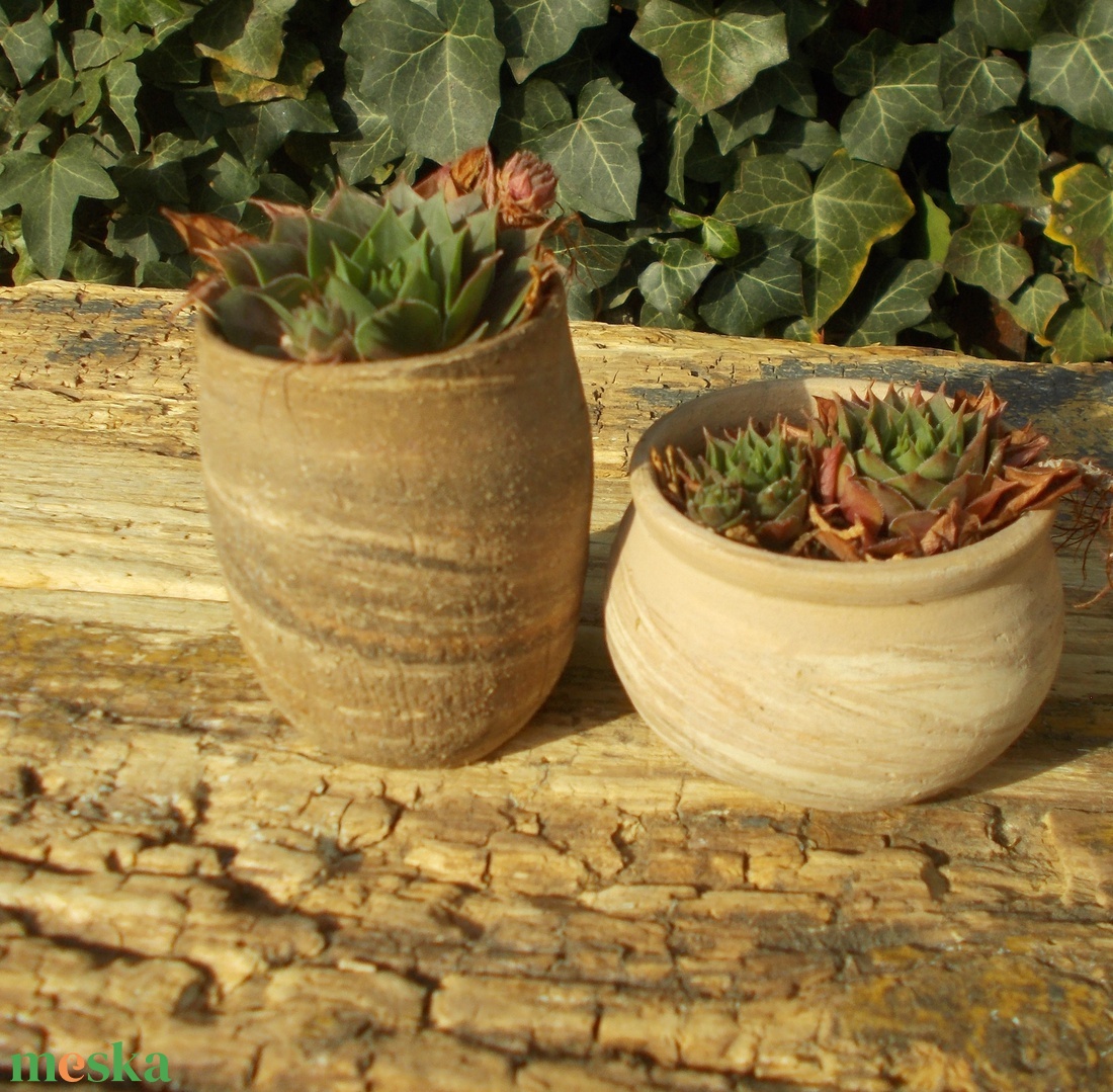 Terrakotta kaspók - otthon & életmód - ház & kert - növény & veteményes - Meska.hu