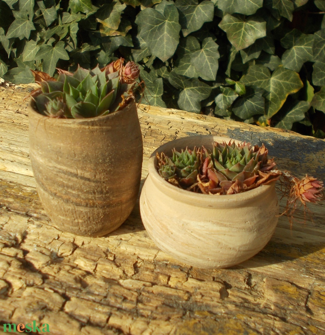 Terrakotta kaspók - otthon & életmód - ház & kert - növény & veteményes - Meska.hu