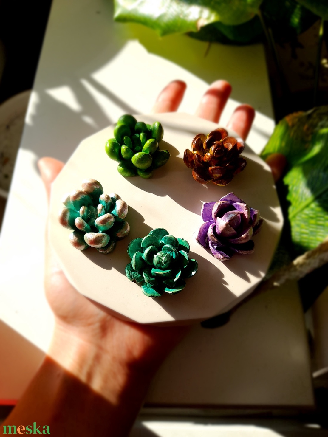 Szukkulens szett - otthon & életmód - dekoráció - dísztárgy - Meska.hu