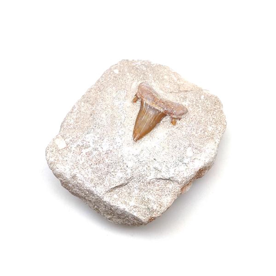 Cápafog kőzetben - kellékek & szerszámok - ásvány alapanyag - Meska.hu