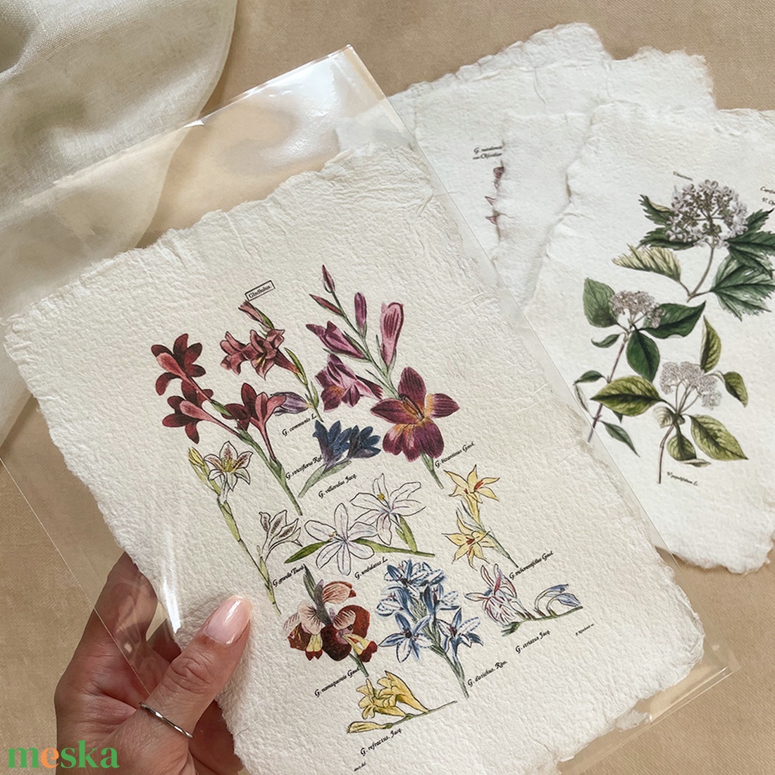 Botanikai print - Tulipán - otthon & életmód - dekoráció - kép & falikép - poszter - Meska.hu Botanikai print - Tulipán - otthon & életmód - dekoráció - kép & falikép - poszter - Meska.hu