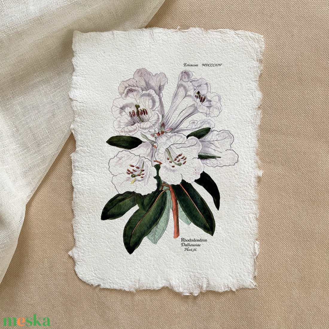 Botanikai print - Rhododendron d. - otthon & életmód - dekoráció - kép & falikép - poszter - Meska.hu Botanikai print - Rhododendron d. - otthon & életmód - dekoráció - kép & falikép - poszter - Meska.hu