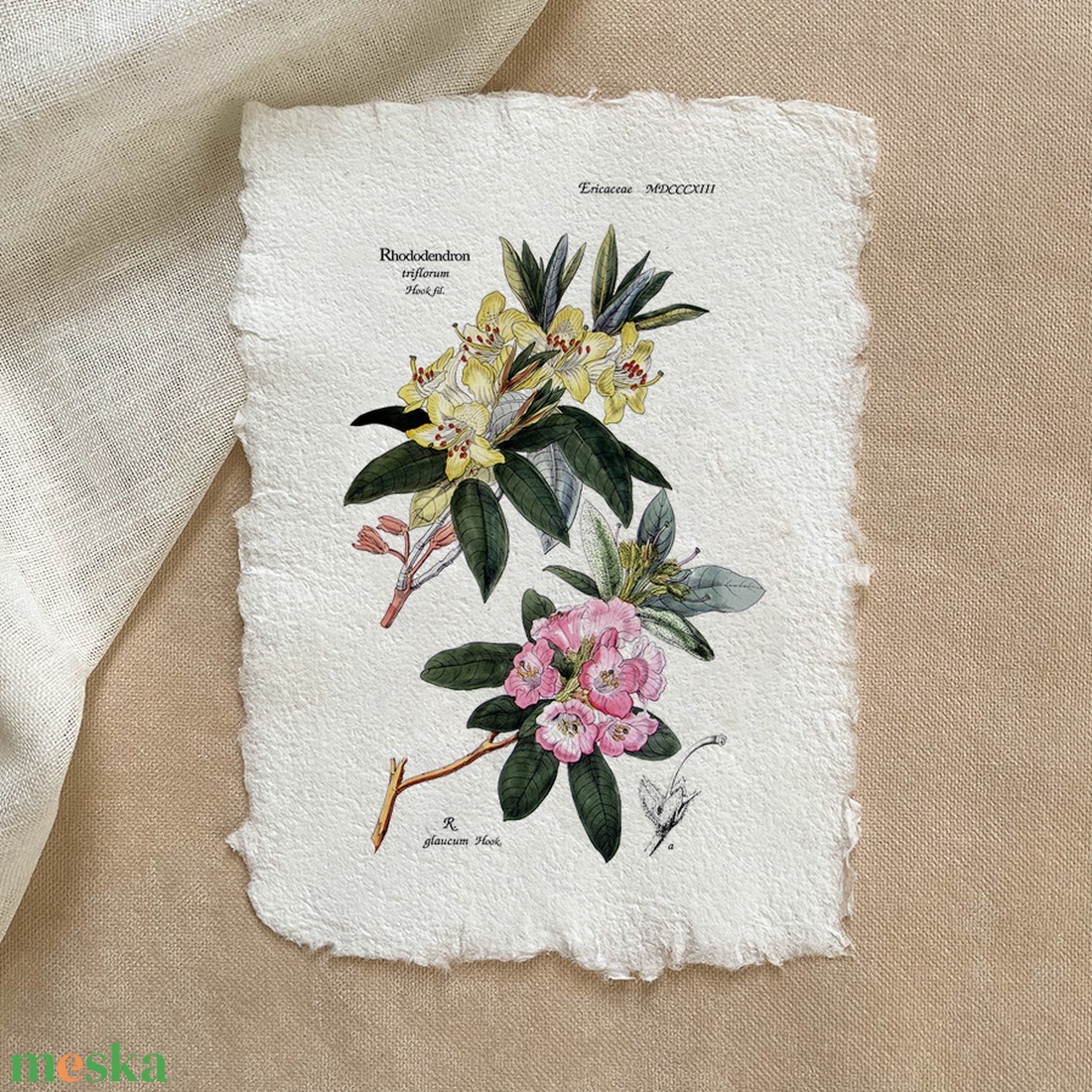 Botanikai print - Rhododendron t. - otthon & életmód - dekoráció - kép & falikép - poszter - Meska.hu Botanikai print - Rhododendron t. - otthon & életmód - dekoráció - kép & falikép - poszter - Meska.hu