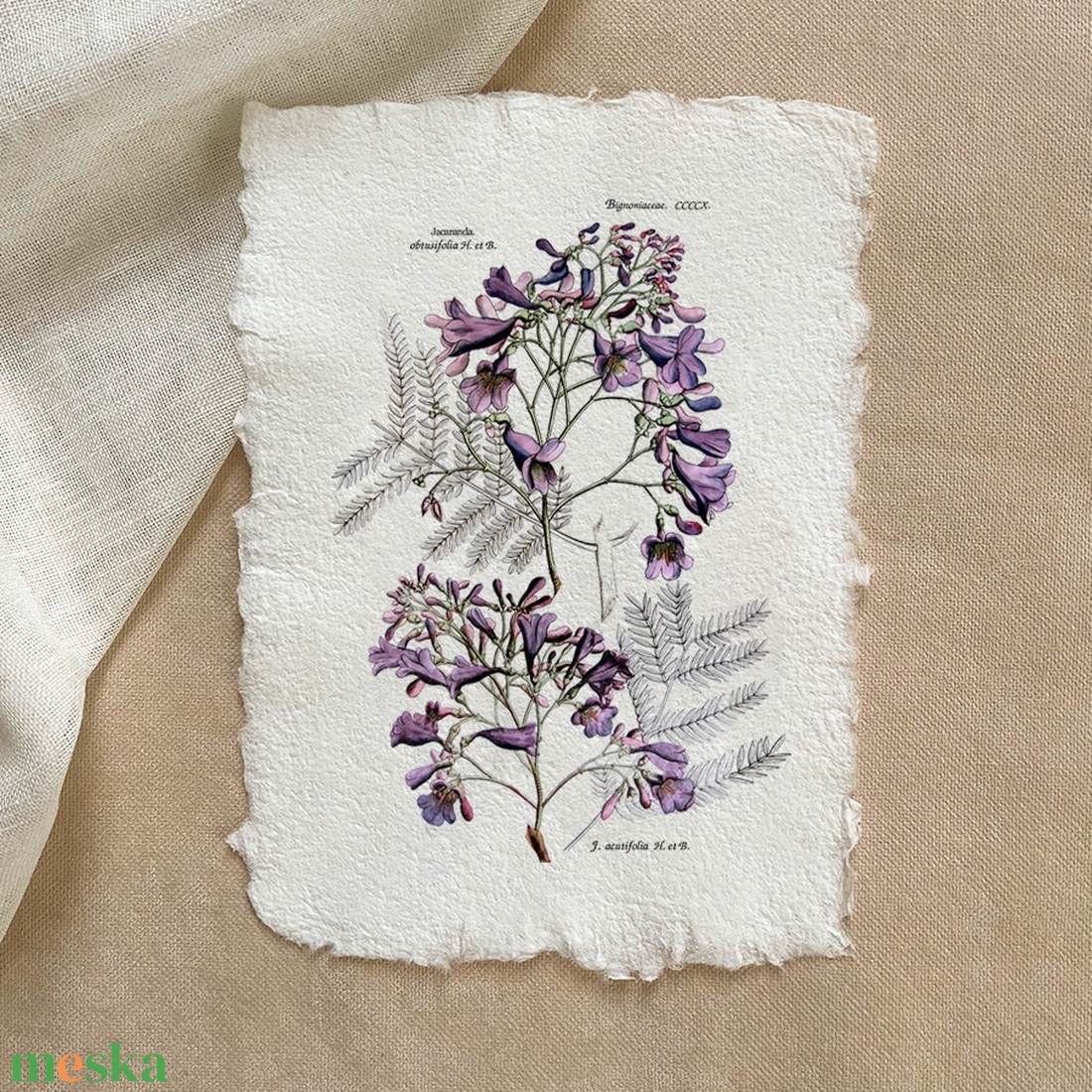 Botanikai print - Zsakaranda - otthon & életmód - dekoráció - kép & falikép - poszter - Meska.hu Botanikai print - Zsakaranda - otthon & életmód - dekoráció - kép & falikép - poszter - Meska.hu