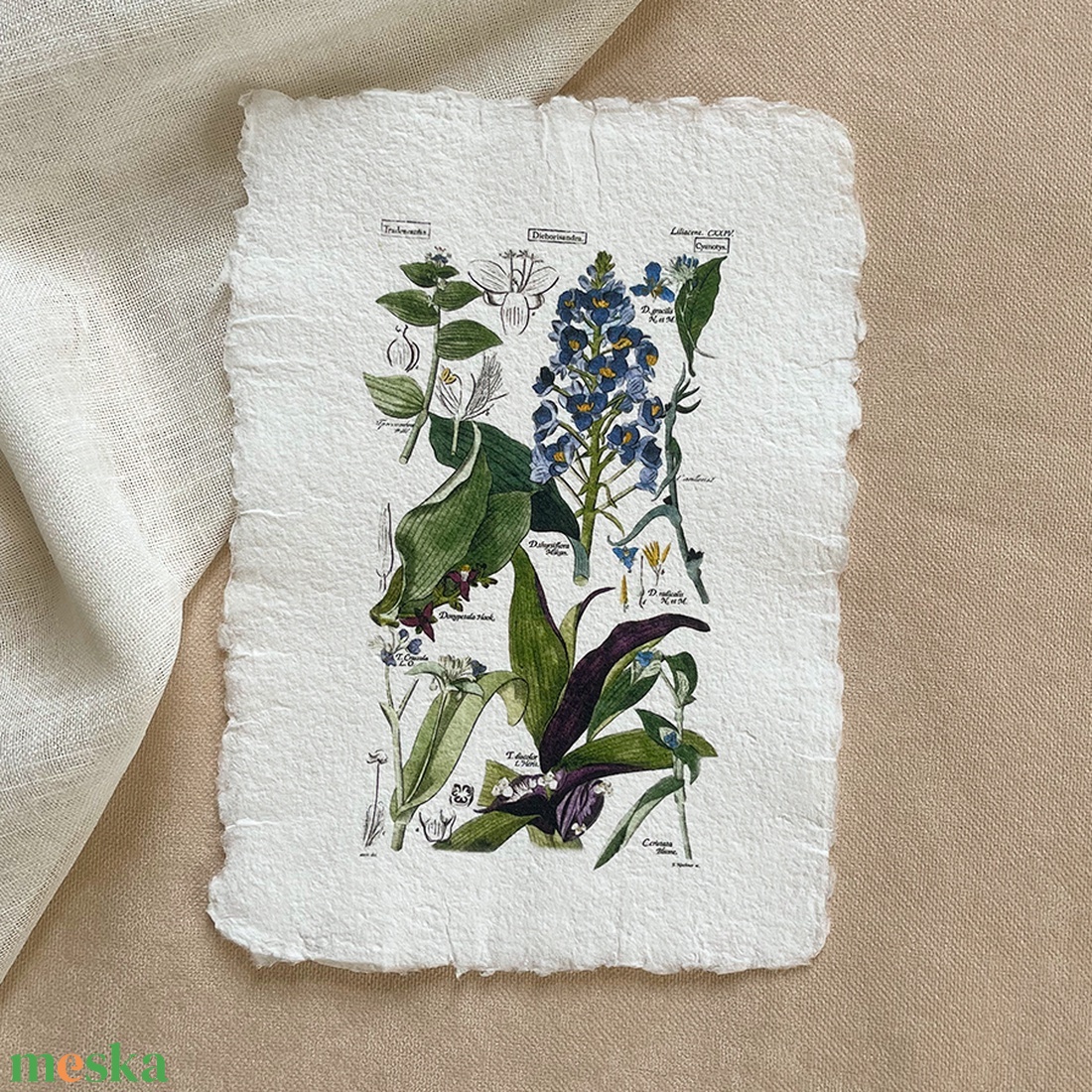 Botanikai print - Liliomfélék 2 - otthon & életmód - dekoráció - kép & falikép - poszter - Meska.hu