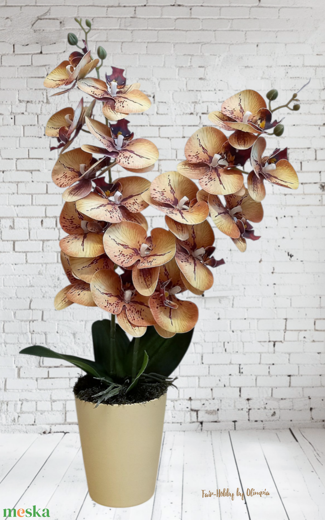Orchidea kerámia kaspóban - otthon & életmód - dekoráció - asztal és polc dekoráció - asztaldísz - Meska.hu Orchidea kerámia kaspóban - otthon & életmód - dekoráció - asztal és polc dekoráció - asztaldísz - Meska.hu