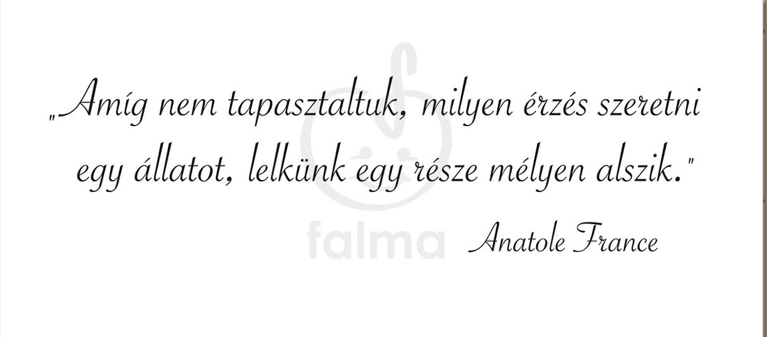 Amíg nem... -  - Meska.hu