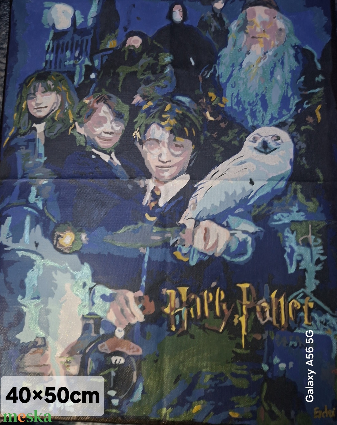 Harry Potter vászon kép  - művészet - festmény - akril - Meska.hu