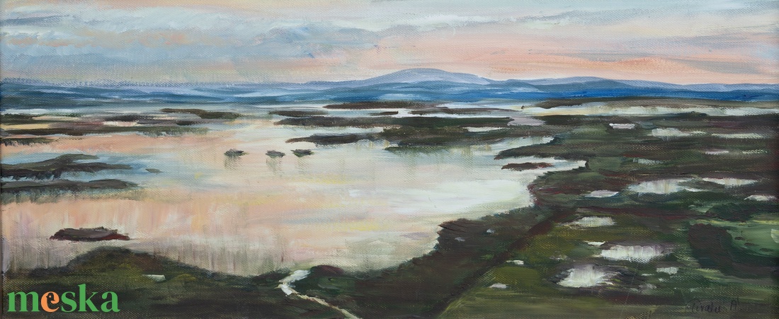 Fertő madártávlatból  olajfestmény - művészet - festmény - olajfestmény - Meska.hu