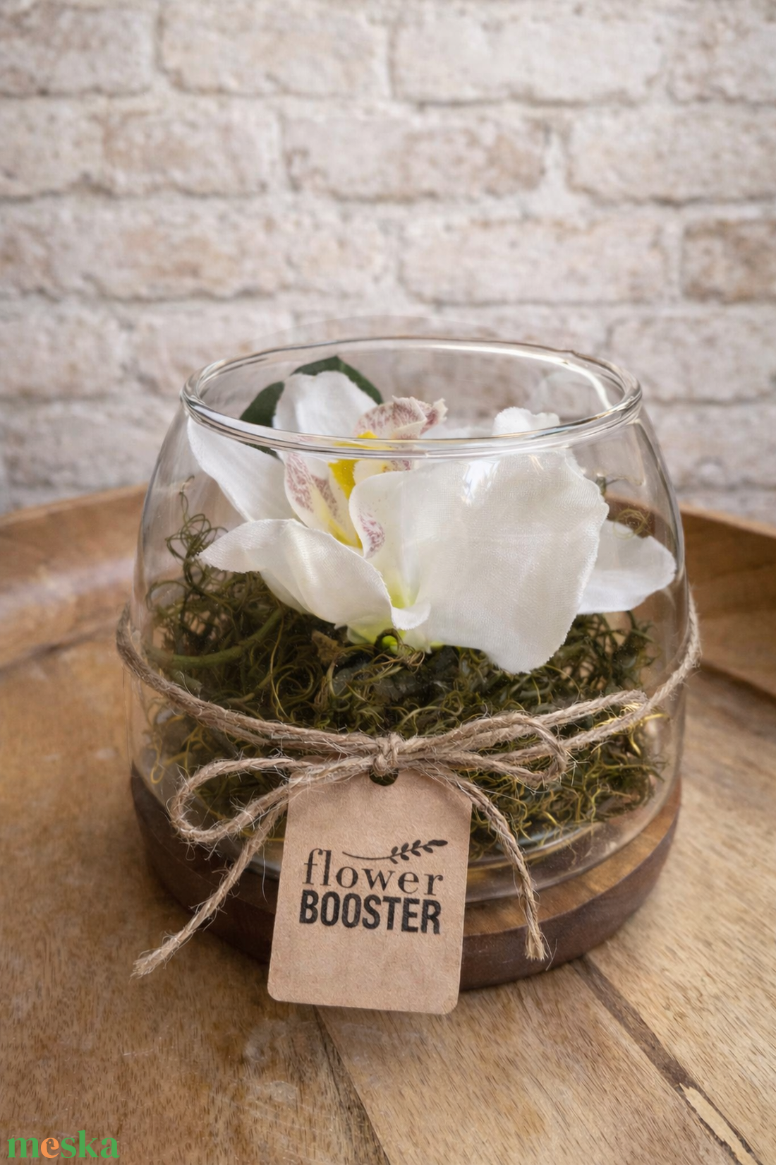 Orchidea üvegtálban fa talpon Nőnapra - otthon & életmód - dekoráció - asztal és polc dekoráció - asztaldísz - Meska.hu