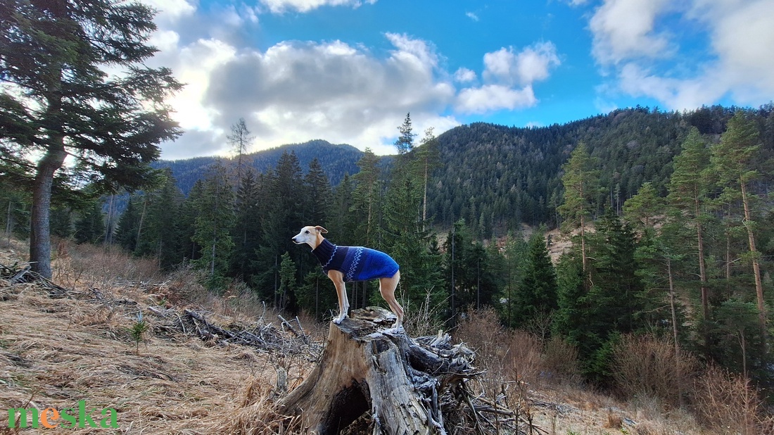 kötött kutyapulóver - otthon & életmód - kisállatoknak - kutyáknak - kutya ruházat - Meska.hu