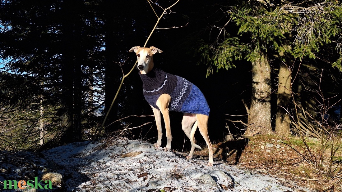 kötött kutyapulóver - otthon & életmód - kisállatoknak - kutyáknak - kutya ruházat - Meska.hu