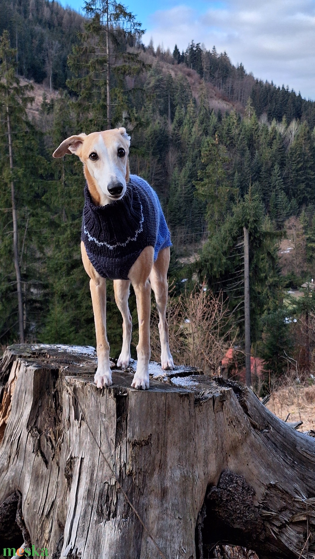 kötött kutyapulóver - otthon & életmód - kisállatoknak - kutyáknak - kutya ruházat - Meska.hu