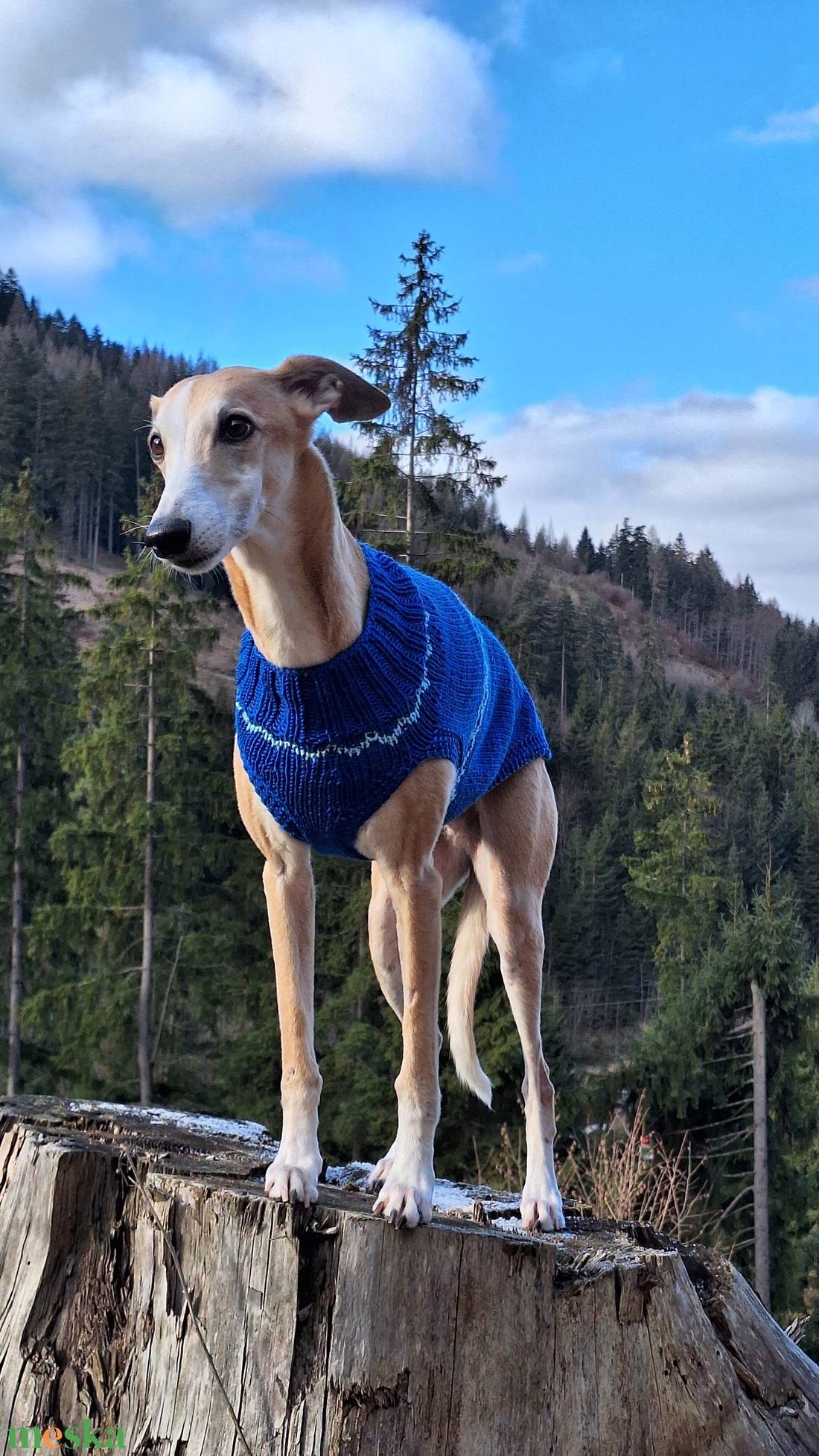 kötött kék kutyapulcsi - otthon & életmód - kisállatoknak - kutyáknak - kutya ruházat - Meska.hu