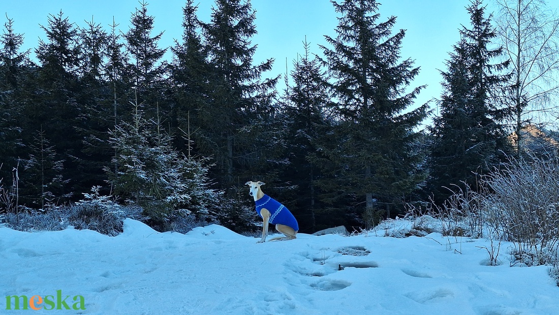 kötött kék kutyapulcsi - otthon & életmód - kisállatoknak - kutyáknak - kutya ruházat - Meska.hu