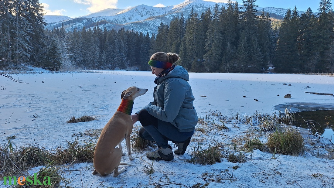 kötött kutya csősál - otthon & életmód - kisállatoknak - kutyáknak - kutya ruházat - Meska.hu