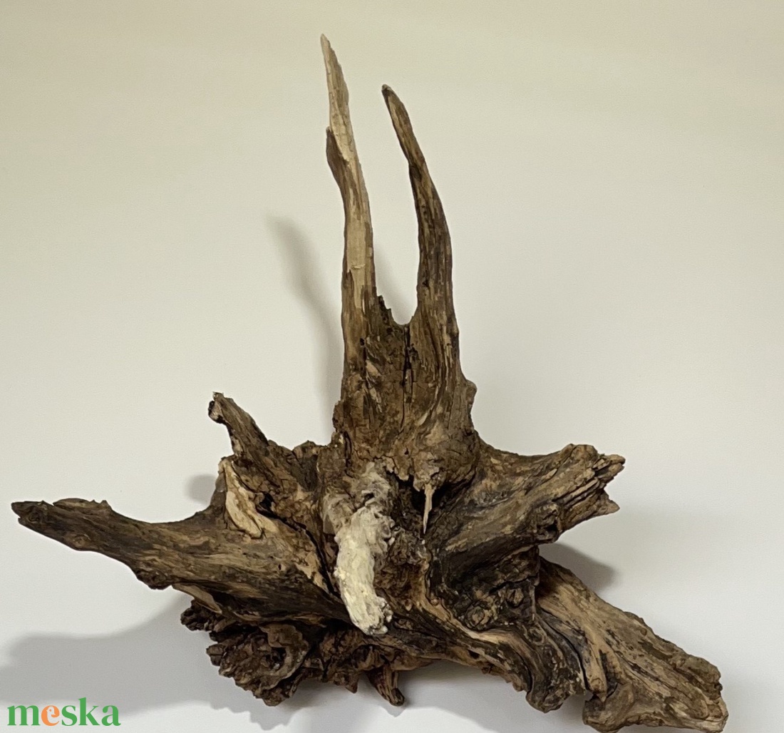 WallRootDeco II (60 x 60 cm, 6 kg) - otthon & életmód - dekoráció - fali és függő dekoráció - falra akasztható dekor - Meska.hu