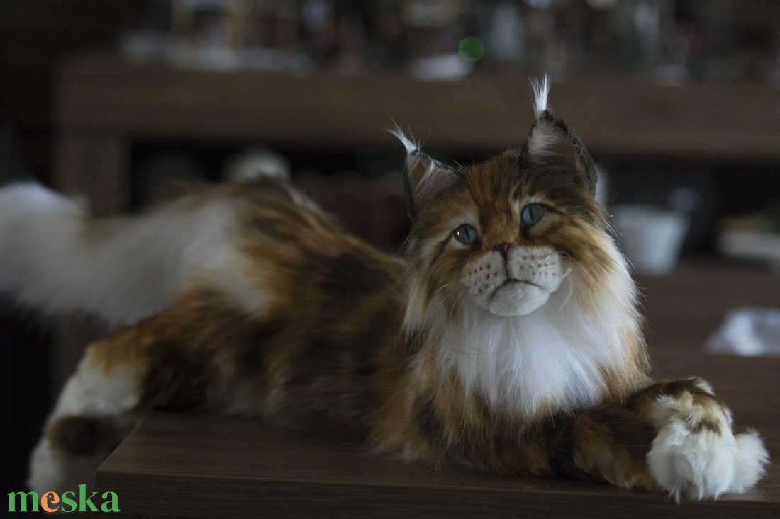 Élethű, realisztikus Maine Coon macska plüss portré rendelésre, Maine Coon cica, macskás ajándék, cicás ajándék - játék & sport - plüssállat & játékfigura - cica - Meska.hu Élethű, realisztikus Maine Coon macska plüss portré rendelésre, Maine Coon cica, macskás ajándék, cicás ajándék - játék & sport - plüssállat & játékfigura - cica - Meska.hu