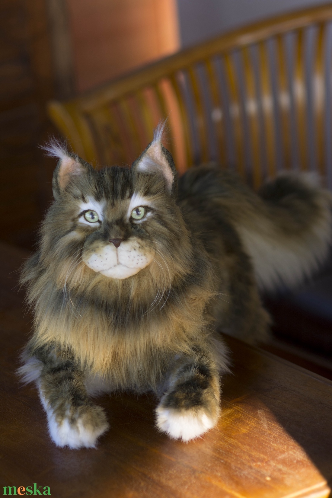 Élethű, realisztikus Maine Coon macska, cica plüss replika - játék & sport - plüssállat & játékfigura - cica - Meska.hu Élethű, realisztikus Maine Coon macska, cica plüss replika - játék & sport - plüssállat & játékfigura - cica - Meska.hu