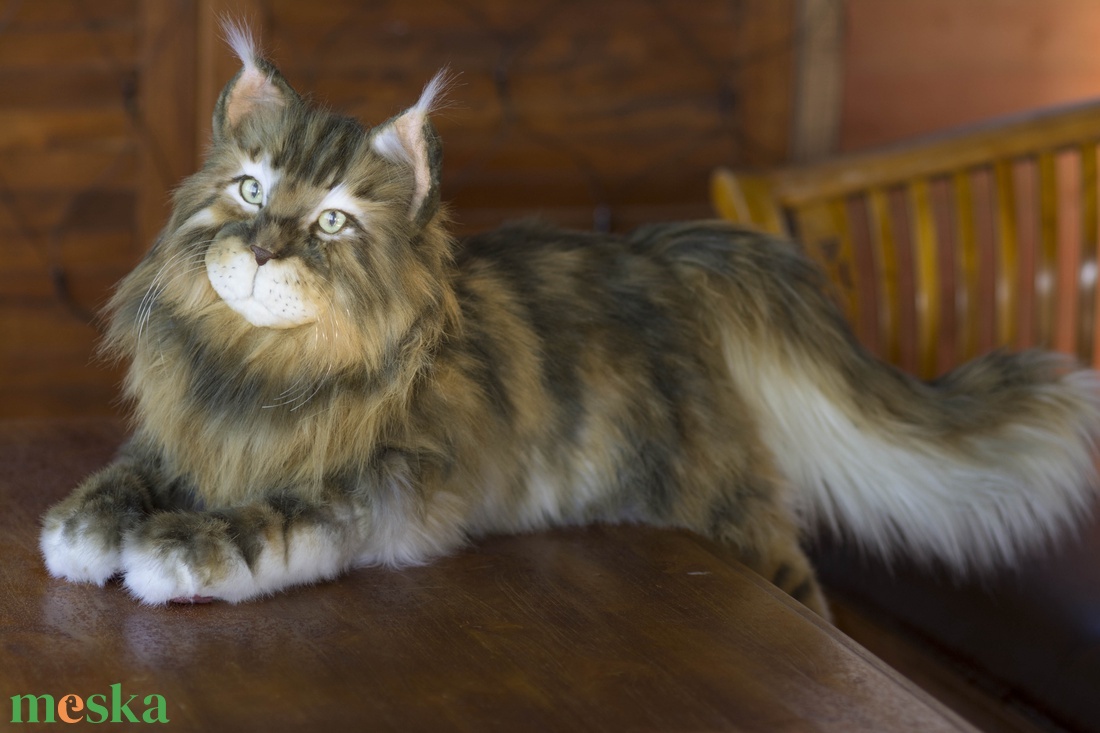 Élethű, realisztikus Maine Coon macska, cica plüss replika - játék & sport - plüssállat & játékfigura - cica - Meska.hu Élethű, realisztikus Maine Coon macska, cica plüss replika - játék & sport - plüssállat & játékfigura - cica - Meska.hu