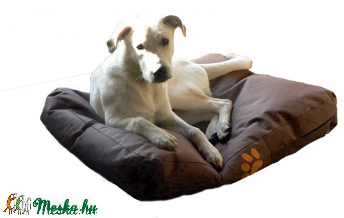 Kutyaágy babzsákból -  - Meska.hu
