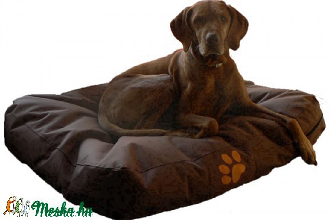 Kutyaágy babzsákból -  - Meska.hu