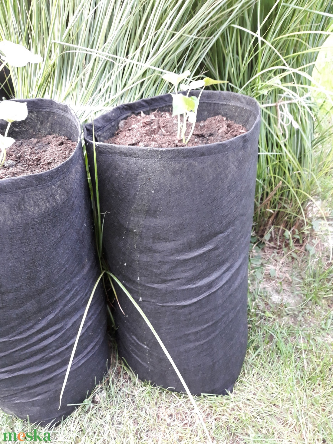 Ültető zsák 35 cm átmérőjű x 70 cm magas / burgonya és édesburgonya termesztéséhez - otthon & életmód - ház & kert - növény & veteményes - Meska.hu Ültető zsák 35 cm átmérőjű x 70 cm magas / burgonya és édesburgonya termesztéséhez - otthon & életmód - ház & kert - növény & veteményes - Meska.hu