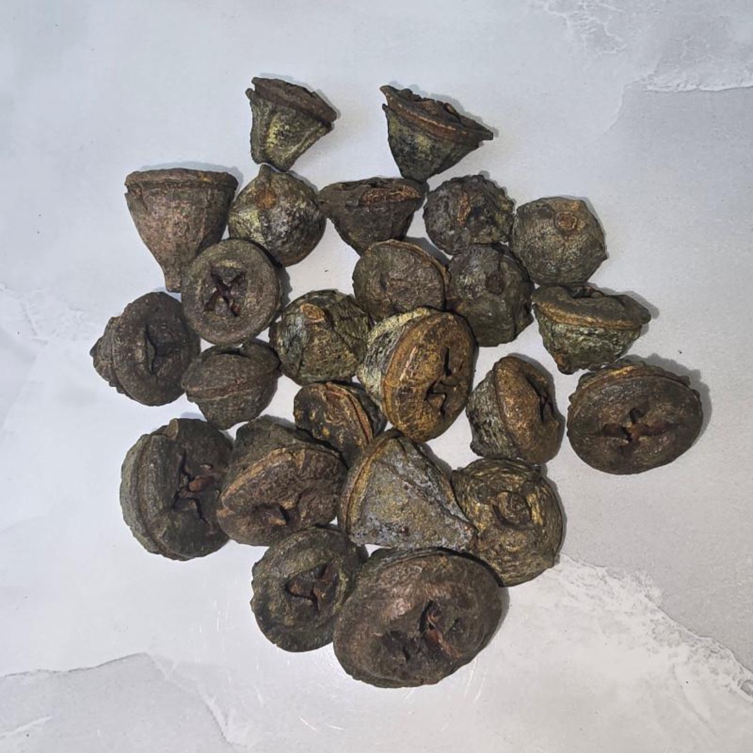 Eukalyptus gomb - natúr 5 dkg - kellékek & szerszámok - dekorációs kellékek - termések, terméscsomagok - Meska.hu Eukalyptus gomb - natúr 5 dkg - kellékek & szerszámok - dekorációs kellékek - termések, terméscsomagok - Meska.hu