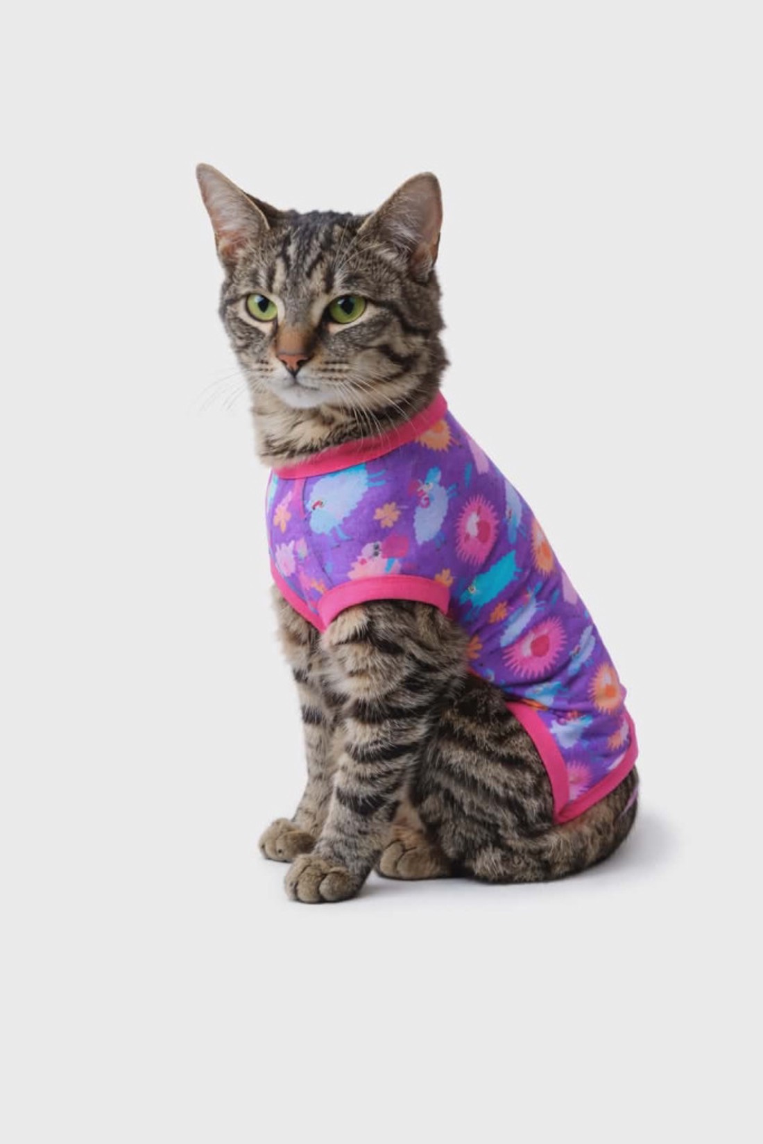 Macska műtét utáni ruha ivartalanítás után � kényelmes gyógyruha gallér helyett - otthon & életmód - kisállatoknak - macska ruha - Meska.hu