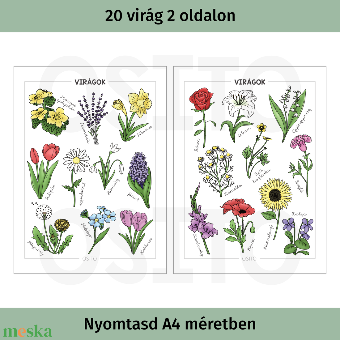 Virágok poszter csomag - PDF - otthon & életmód - dekoráció - kép & falikép - poszter - Meska.hu